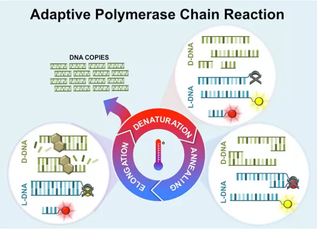 Adaptive PCR