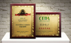 Top Member Award at CEDA Summit in China