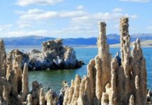 New test will detect signs of life on alien planets Signs of life on alien planets