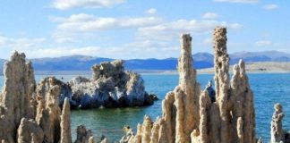 Signs of life on alien planets