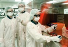 Breakthrough in flexible electronics