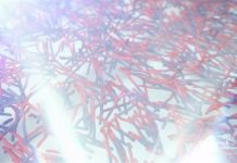 IBM Looks for the Next Step in Nanotechnology