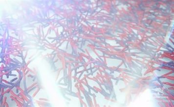 IBM Looks for the Next Step in Nanotechnology