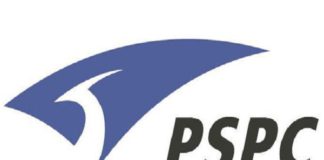 Phoenix Semiconductor