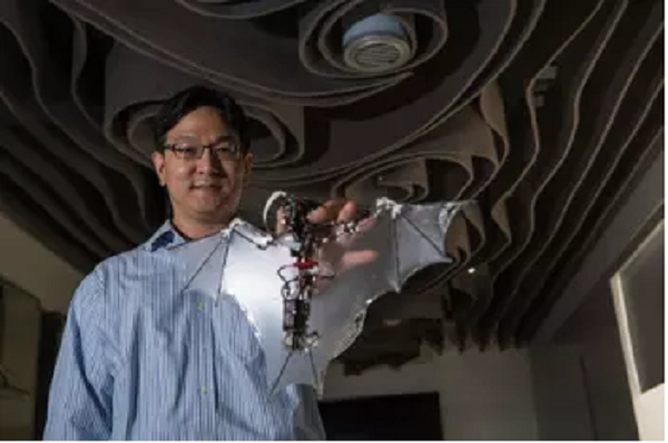 Soon-Jo Chung, associate professor of aerospace and Bren Scholar at Caltech, holds the Bat Bot.