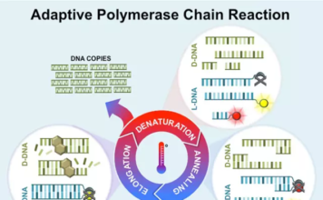 DNA “Photocopying” Takes on Zika and Ebola Adaptive PCR