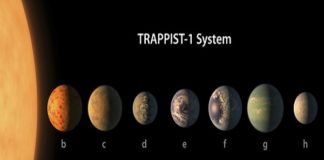Nasa Search Report