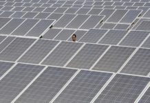 Zynergy to set up solar module at Nellore