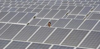 Zynergy to set up solar module at Nellore