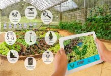 Sensor Technology for Agriculture