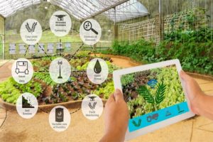 Sensor Technology for Agriculture