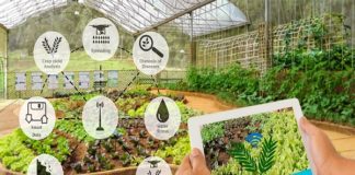 Sensor Technology for Agriculture