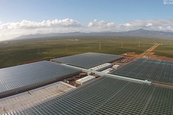 A solar-powered greenhouse in a waterless desert, and a 100% autonomous bus Renewable Energy