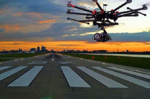 drones_breed_reply
