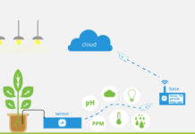 iot applications in agriculture