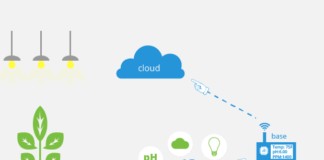 iot applications in agriculture