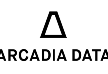Arcadia-Data-Logo-Black-on-White-Vertical