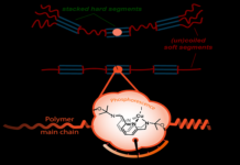 New sensor molecule makes light work of mechanical stress light work of mechanical stress