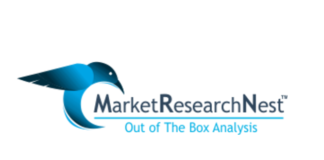 market research nest