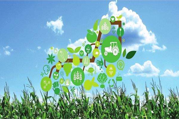 iot-farming