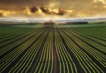 Big Data In Agriculture