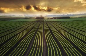 Big Data In Agriculture