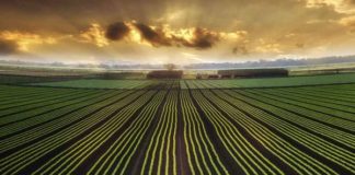 Big Data In Agriculture