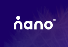 Nano Global Logo