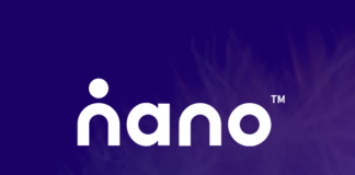 Nano Global Logo