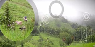 smart-agriculture