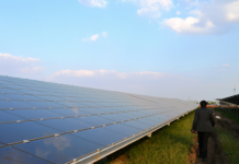 November Solar Tenders Fall to 300 MW and Auctions Drop to 5 MW in India