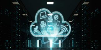 network function virtualization" platform