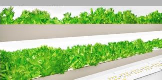 Horticulture-LED