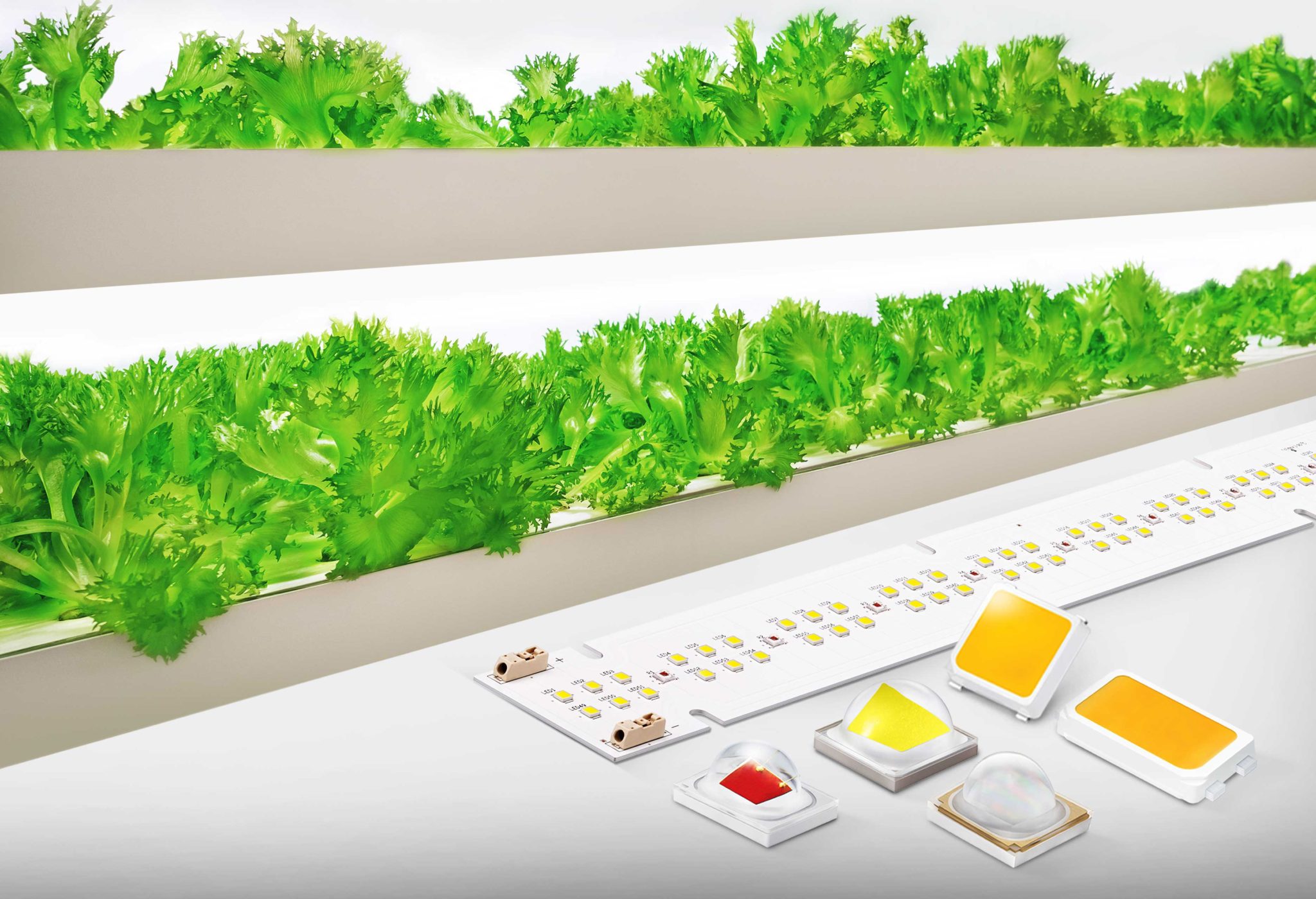 Samsung-Horticulture-LED-
