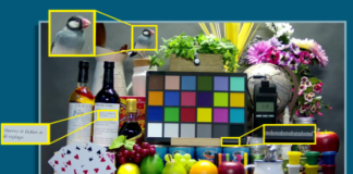 Novatek Microelectronics on Surveillance Camera Reference Design