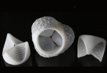 The design of the finished heart valves is inspired by human biology.