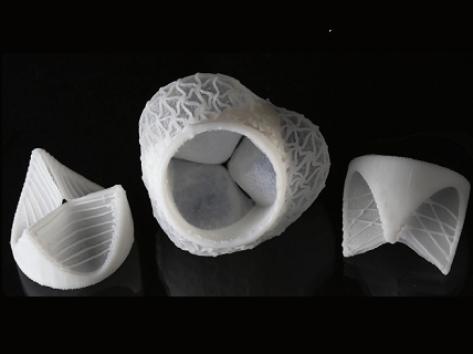 The design of the finished heart valves is inspired by human biology.