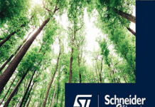 Carbon Neutrality