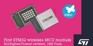 Wireless MCU Module