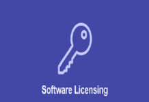 Software Licensing