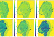 Spectral-Imaging Technique