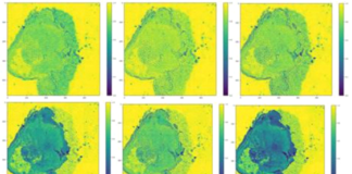 Spectral-Imaging Technique