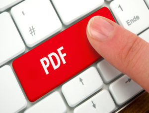 What is Portable Document Format (PDF)