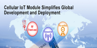 Module for Wireless IoT Networks