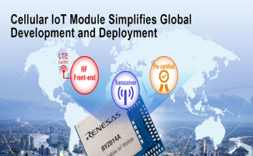 Module for Wireless IoT Networks