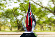 Global High Service Distributor of the Year