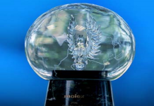 Molex 2020 Global e-Catalog Distributor of the Year