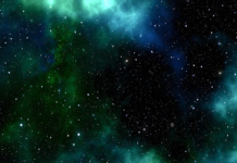 What Is Covesting Copy Trading