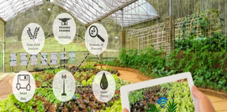 Environmental Sensor Data