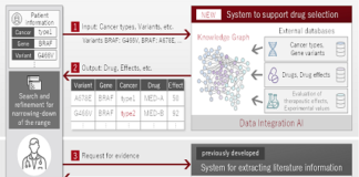 AI Technology for Personalized Cancer Treatment